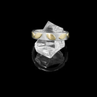 Hand-fabricated, contemporary design ring featuring 14k gold leaves sprinkled around a sterling silver band.