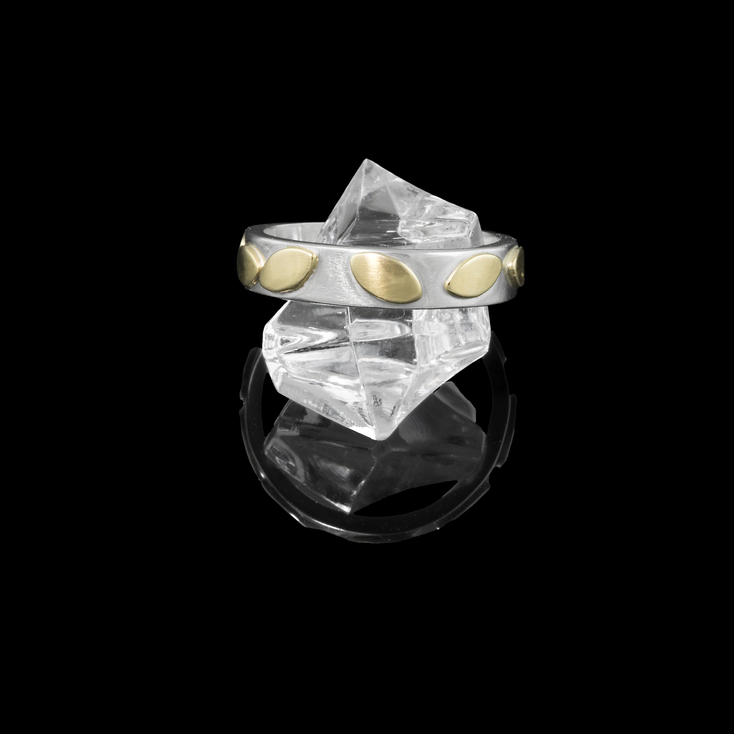 Hand-fabricated, contemporary design ring featuring 14k gold leaves sprinkled around a sterling silver band.